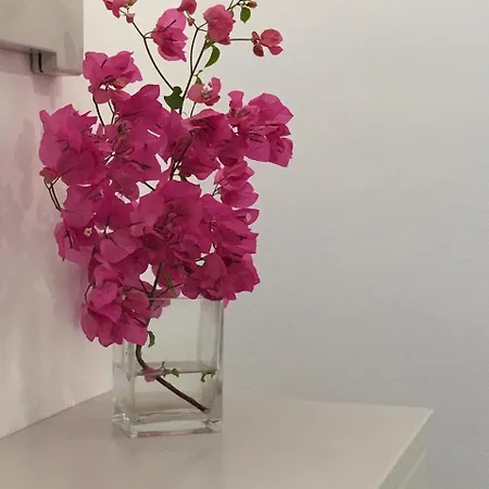 Stefano Naousa (Paros)